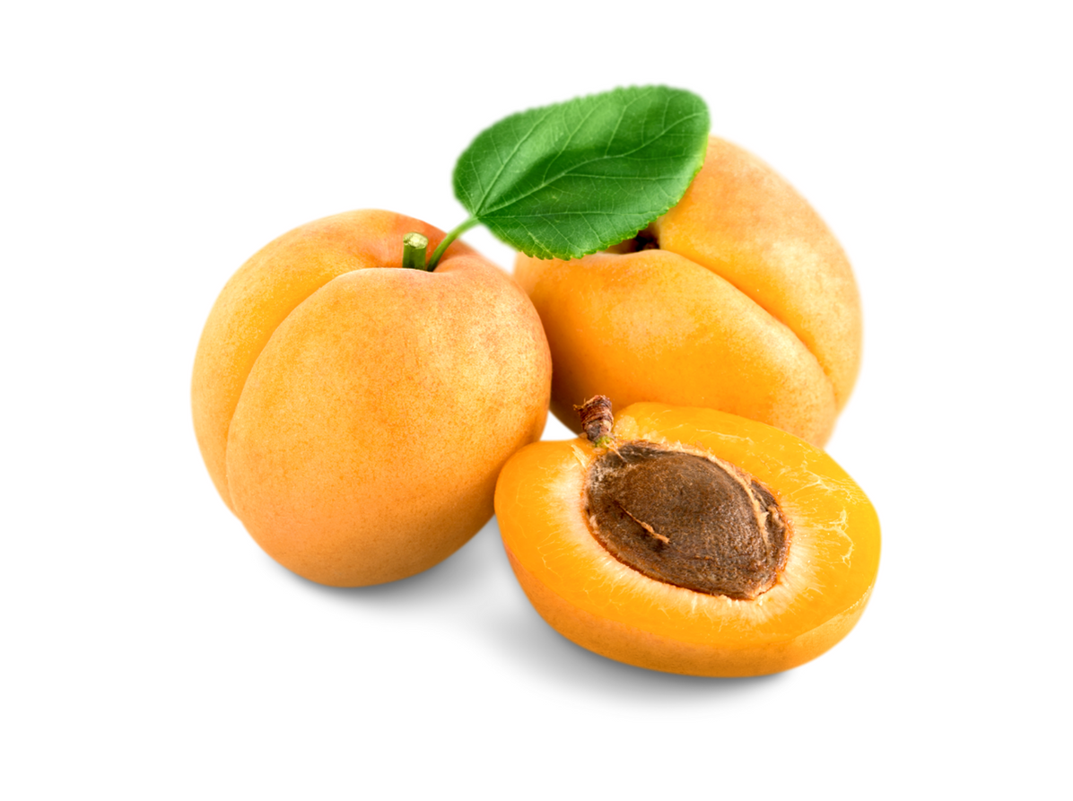 Apricot